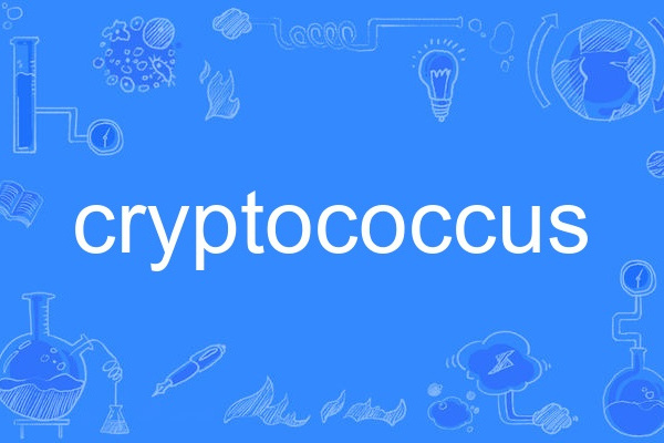 cryptococcus cryptococcus