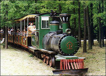 森林小火車