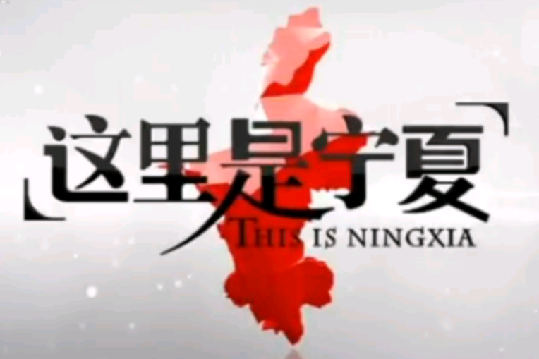 這裡是寧夏 這裡是寧夏