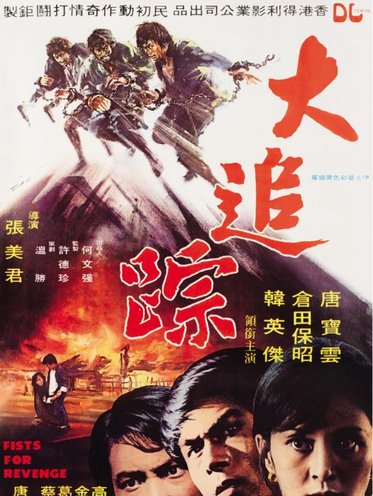 大追蹤(1975年唐寶雲、倉田保昭主演的電影) 大追蹤(1975年唐寶雲、倉田保昭主演的電影)
