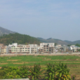 柳城鎮(東源縣下轄鎮) 柳城鎮(東源縣下轄鎮)