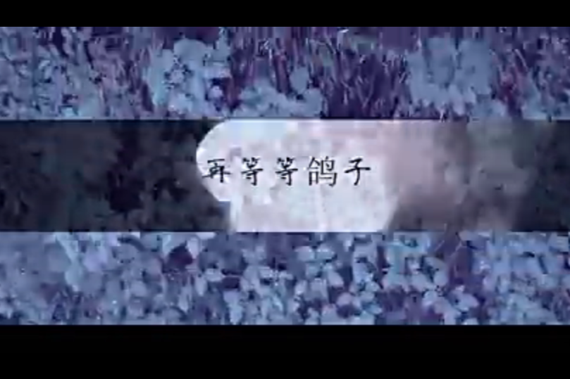再等等鴿子 再等等鴿子
