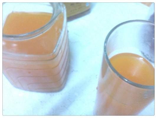 紅棗枸杞蜂蜜茶