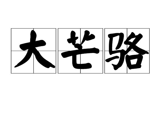 大芒駱 大芒駱