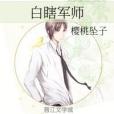 白瞎軍師 白瞎軍師