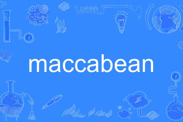 maccabean maccabean