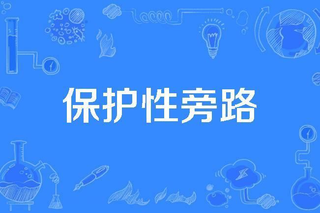 保護性旁路 保護性旁路