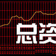 總資產 總資產