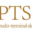 PTS(虛擬終端) PTS(虛擬終端)