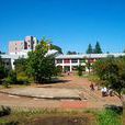 青森大學 青森大學