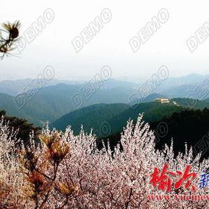 烏金山(避暑勝地)