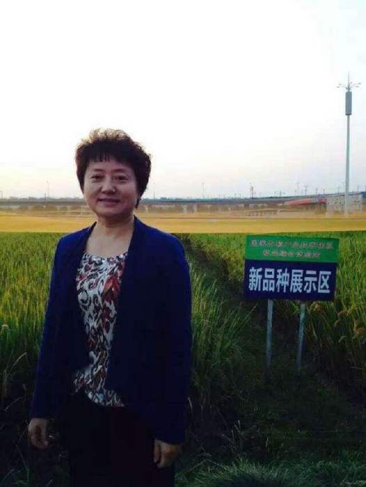 寇曉虹 寇曉虹