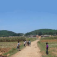 啟發村(雲南師宗縣彩雲鎮下轄村) 啟發村(雲南師宗縣彩雲鎮下轄村)
