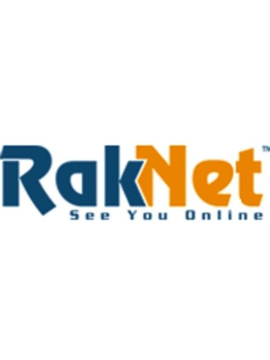 RakNet RakNet