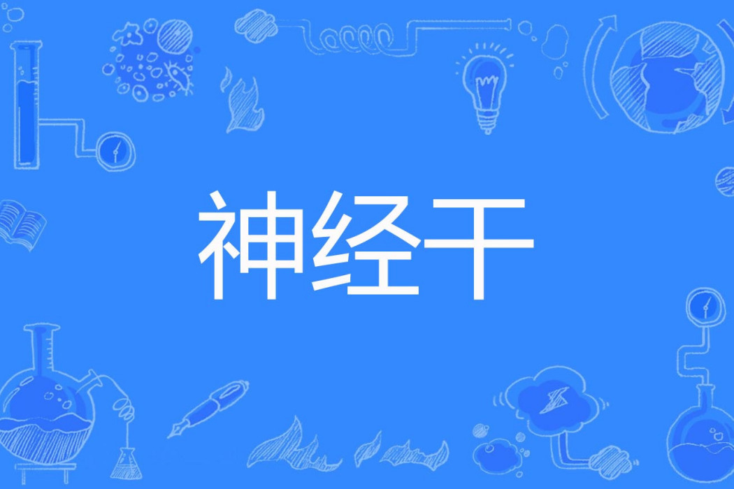 神經乾 神經乾