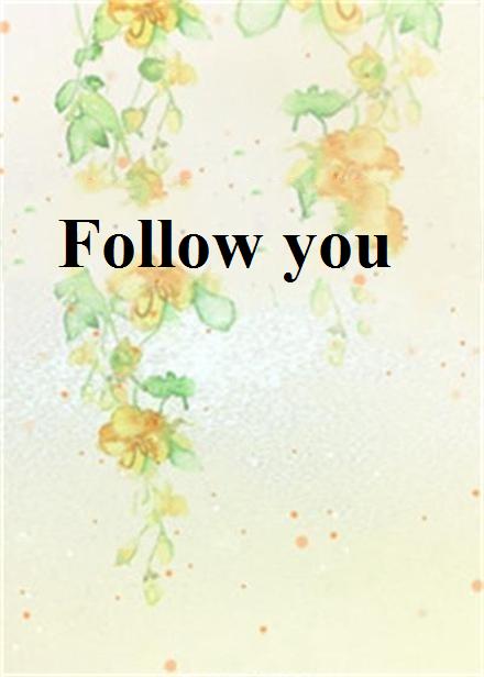 Follow you(網路小說)