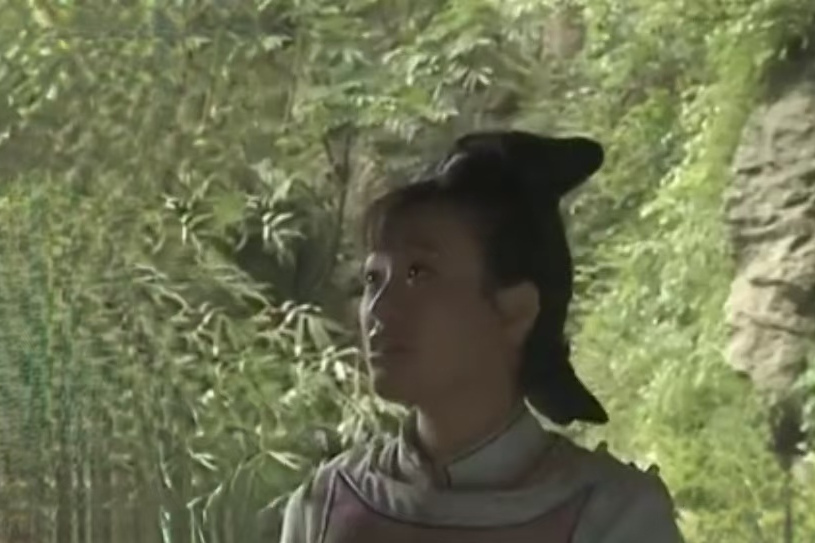 柏英(古裝劇《雄關遺夢》中的角色) 柏英(古裝劇《雄關遺夢》中的角色)