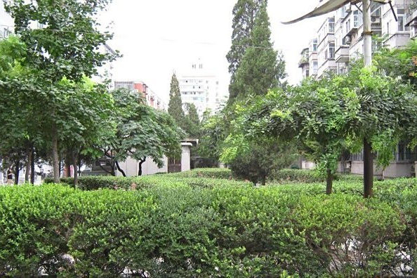 建安里 建安里