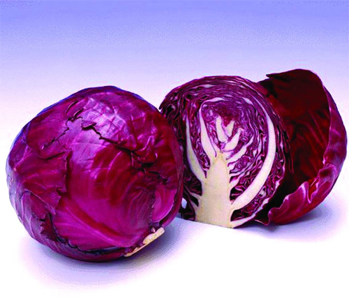 青花菜、紫甘藍病毒病
