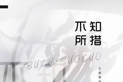 不知所措(2020年王靖雯不胖演唱的歌曲) 不知所措(2020年王靖雯不胖演唱的歌曲)