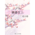 嫡妻在上 嫡妻在上