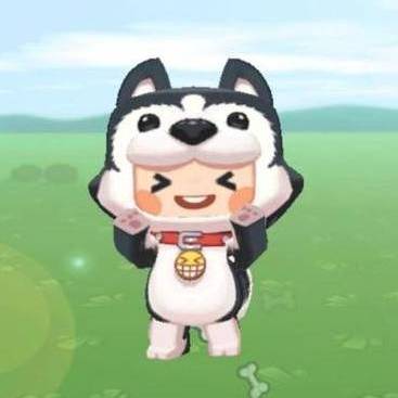 哈魯 哈魯