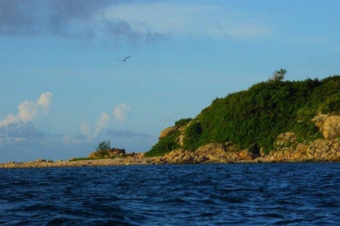 鴿島 鴿島