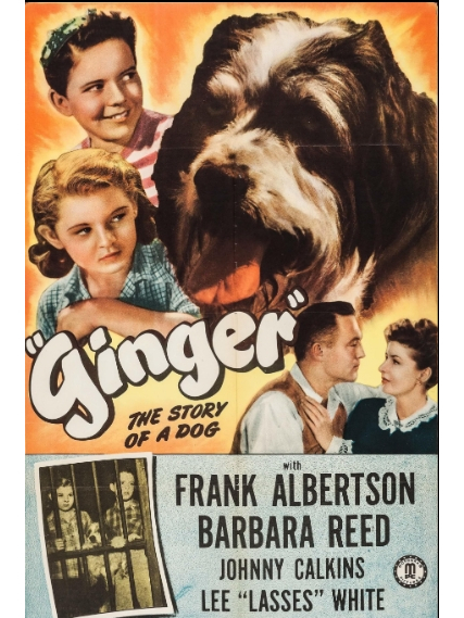 Ginger(美國1946年Oliver Drake執導的電影) Ginger(美國1946年Oliver Drake執導的電影)