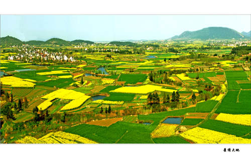 愛廉村 愛廉村