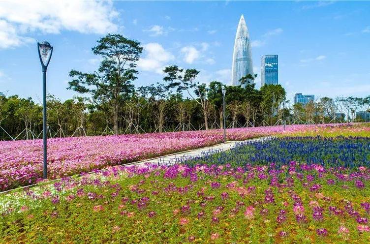 甜蜜公園 甜蜜公園