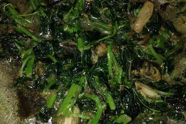 小魚莧菜 小魚莧菜