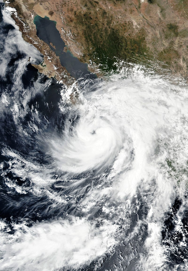 熱帶風暴莉蒂婭 衛星雲圖