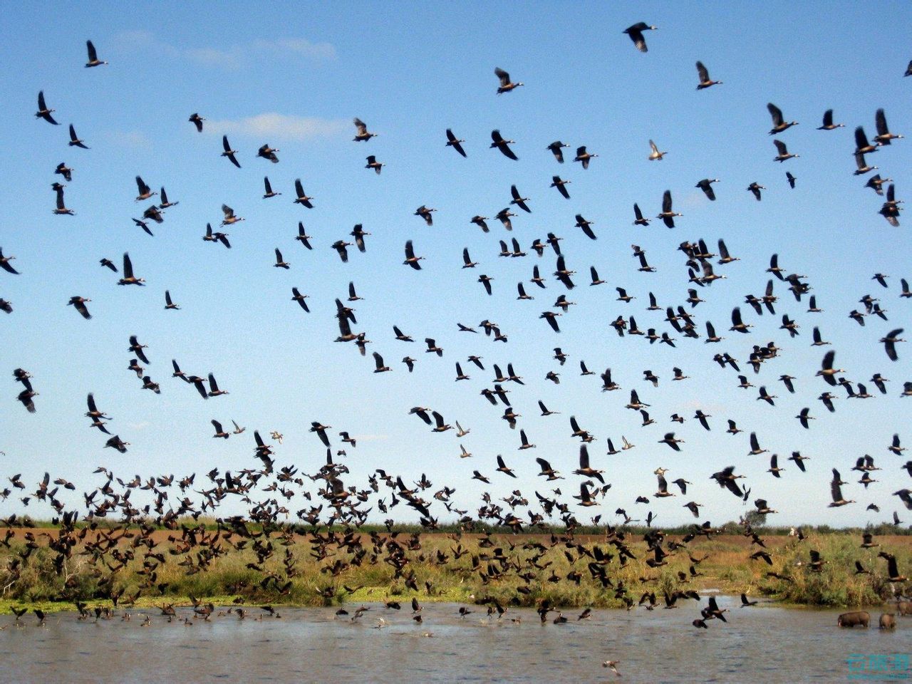 朱賈國家鳥類保護區