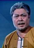 磐石灣(1975年謝晉、梁廷鐸聯合執導電影) 磐石灣(1975年謝晉、梁廷鐸聯合執導電影)