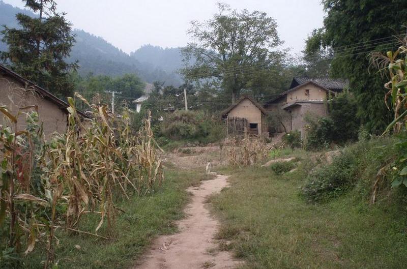 拖腳村(雲南省寧蒗彝族自治縣金棉鄉拖腳村)