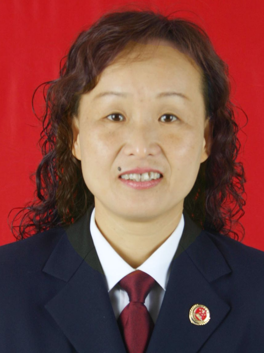 劉莉(安徽省合肥市包河區人民檢察院檢察委員會專職委員) 劉莉(安徽省合肥市包河區人民檢察院檢察委員會專職委員)
