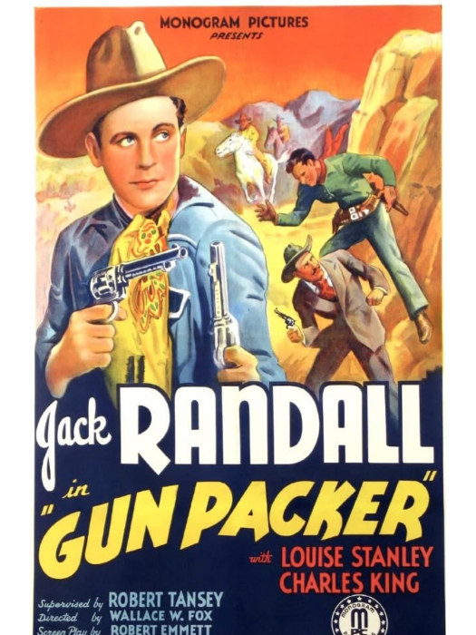 Gun Packer Gun Packer