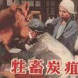 馬皮疽 馬皮疽