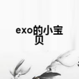 exo的小寶貝 exo的小寶貝