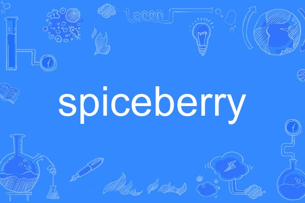 spiceberry spiceberry