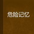 危險記憶(起點中文網作品) 危險記憶(起點中文網作品)