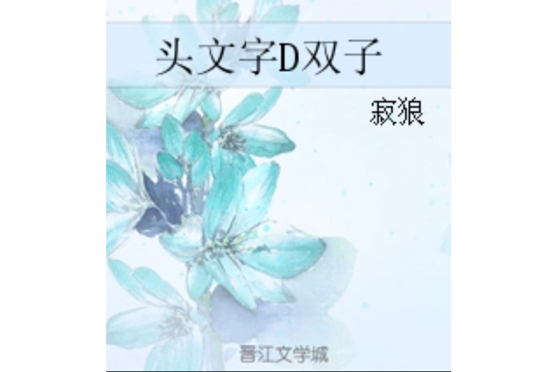 頭文字D雙子 頭文字D雙子