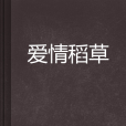 愛情稻草 愛情稻草