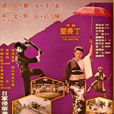 黑龍會(1976年丁善璽執導台灣電影) 黑龍會(1976年丁善璽執導台灣電影)
