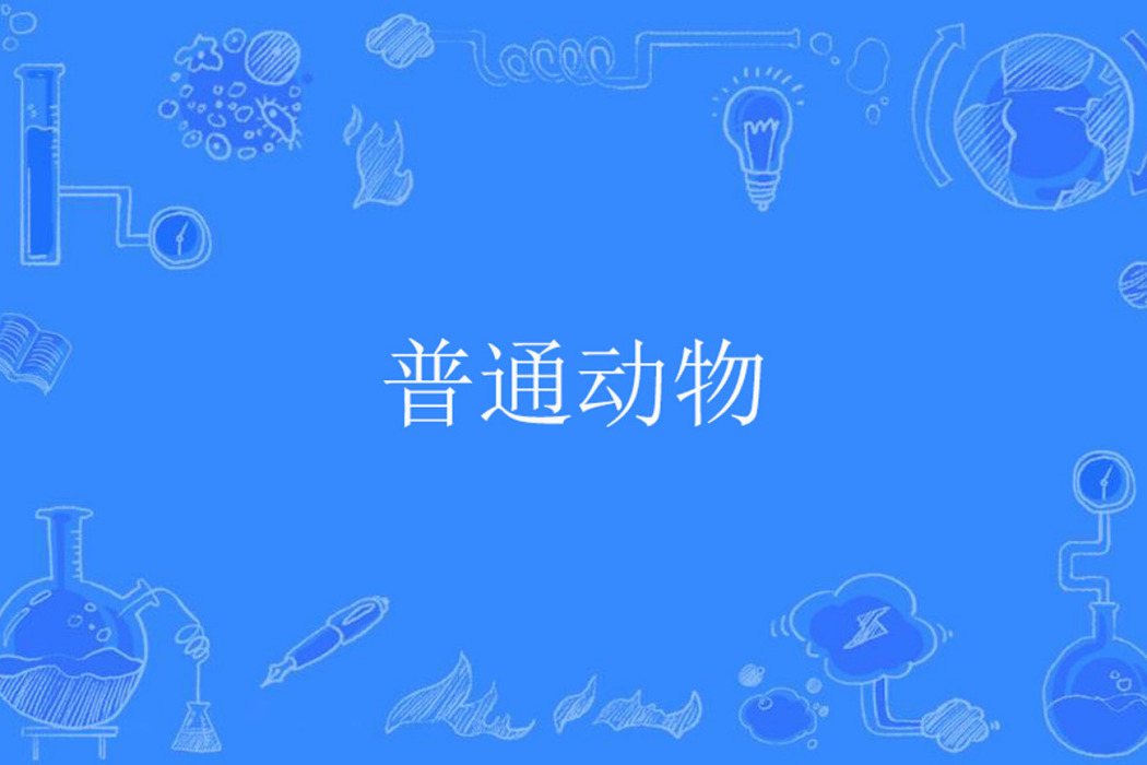 普通動物 普通動物