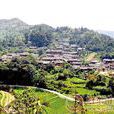 王家寨村(雲南普洱景谷縣正興鎮下轄村)