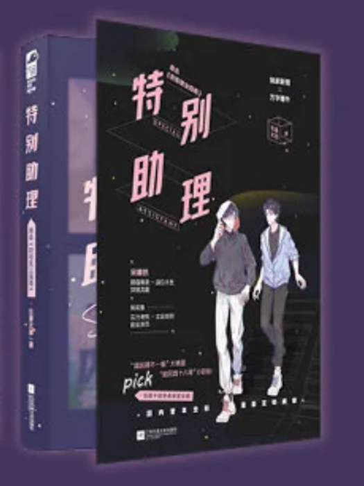特別助理(2021年江蘇鳳凰文藝出版社出版的圖書)
