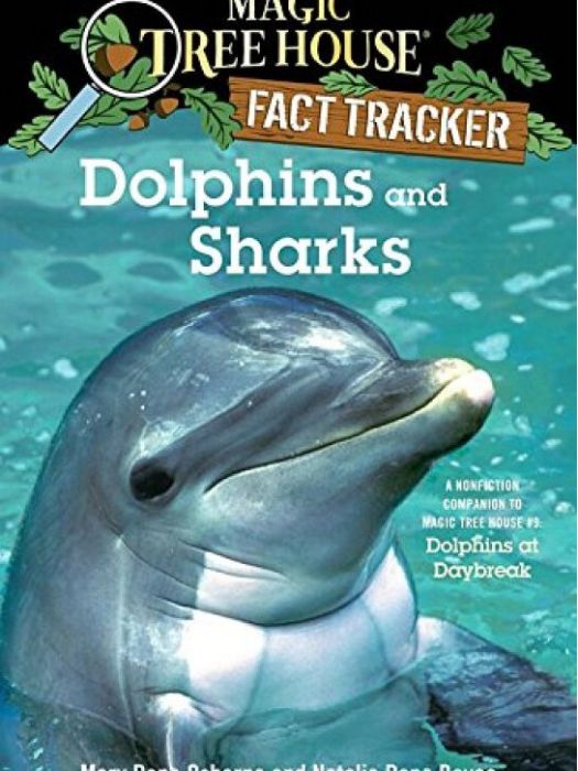 Dolphins and Sharks Dolphins and Sharks
