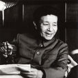夏淳 夏淳