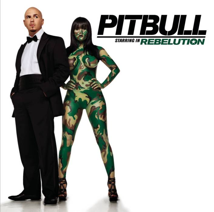 Shut It Down(Pitbull,Akon演唱歌曲) Shut It Down(Pitbull,Akon演唱歌曲)